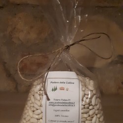 Biological Cannellini beans Kg 0.5
